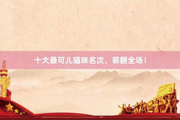 十大最可儿猫咪名次，萌翻全场！